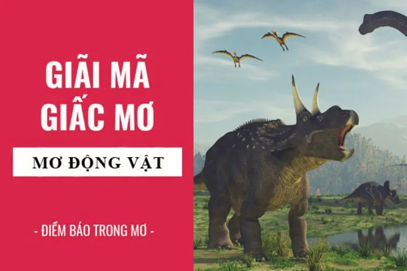 Giải mã ý nghĩa của các giấc mơ về con vật phổ biến 